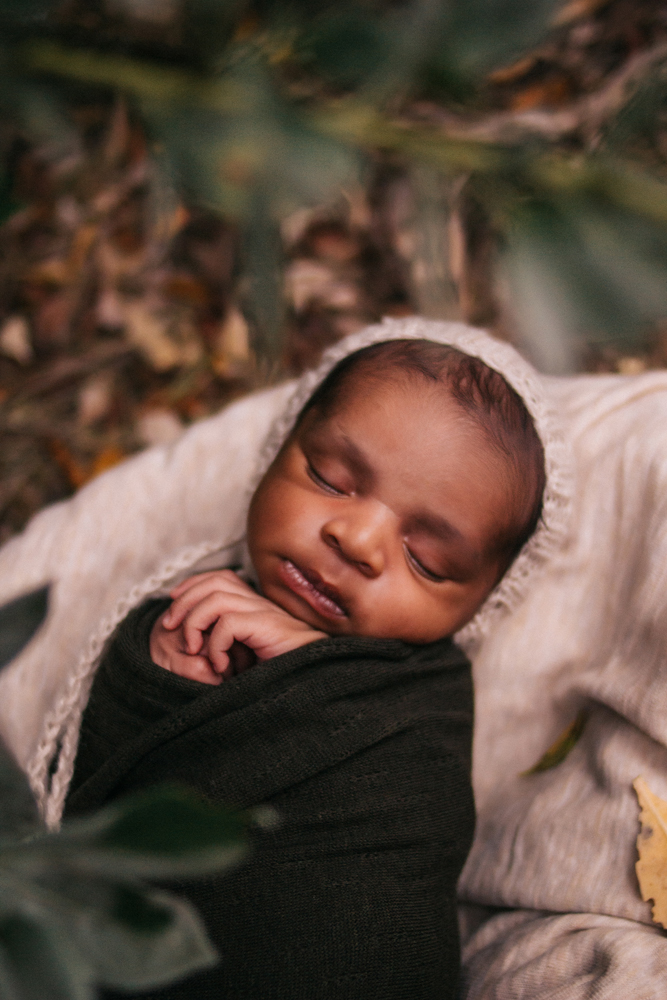 Image of a black newborn boy in a green cloth wrap under a green bush. Outdoor newborn photographer fort myers Florida