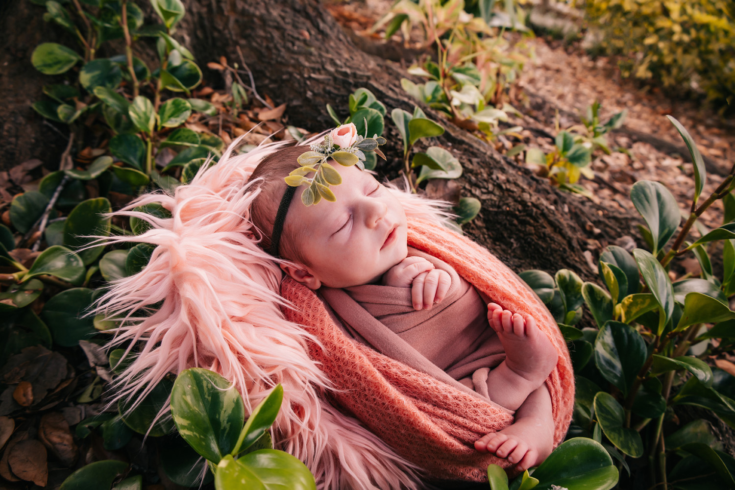 Outdoor newborn photography Fort myers florida