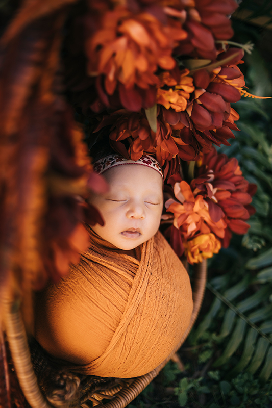 Newborn Girl in a wire basket wrapped up in a neutral cloth wrap. She is wearing a red gnome bonnet. This photo is outside under a tree. Outdoor newborn photographer fort myers Florida