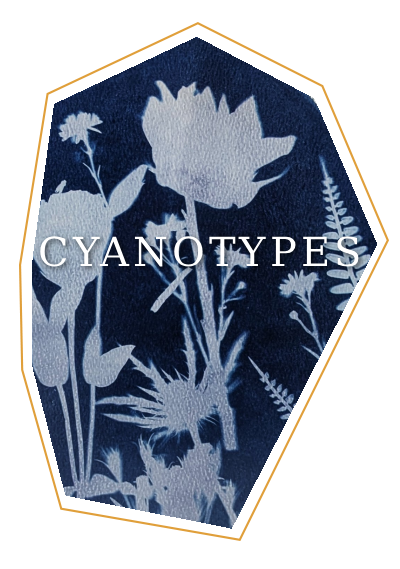 CYANOTYPES